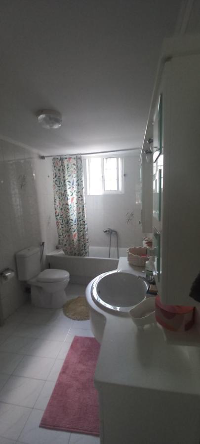 Εξοχικό Roxani Vila Ambelakia Exterior foto