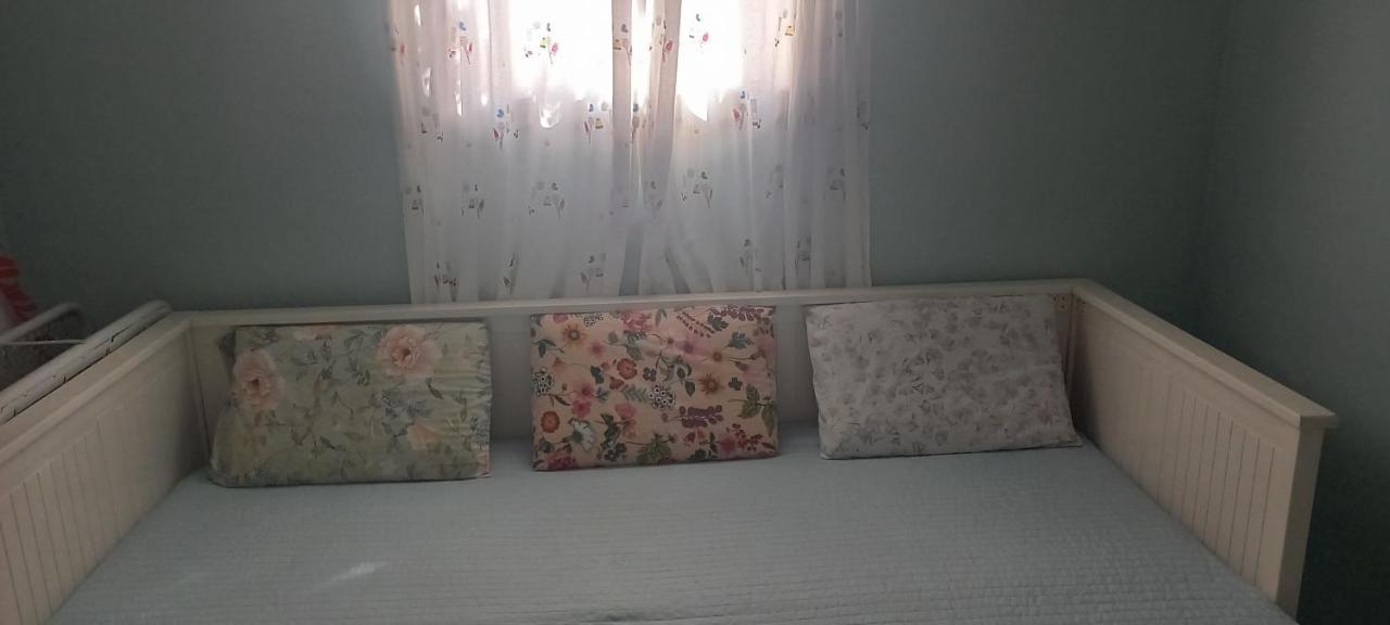 Εξοχικό Roxani Vila Ambelakia Exterior foto