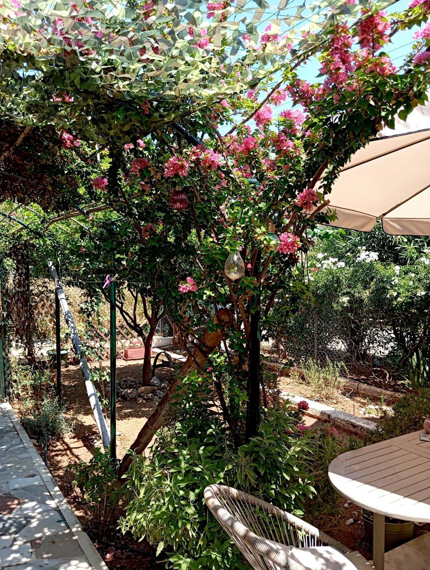 Εξοχικό Roxani Vila Ambelakia Exterior foto