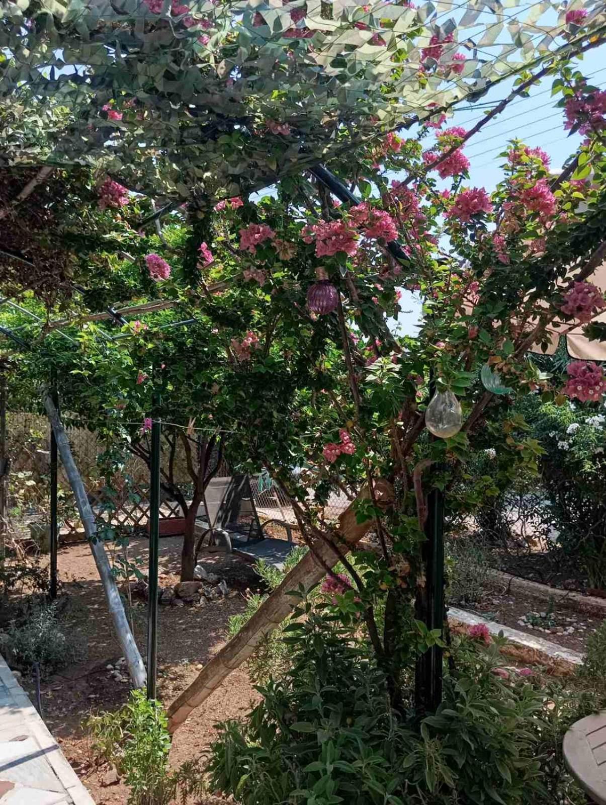 Εξοχικό Roxani Vila Ambelakia Exterior foto