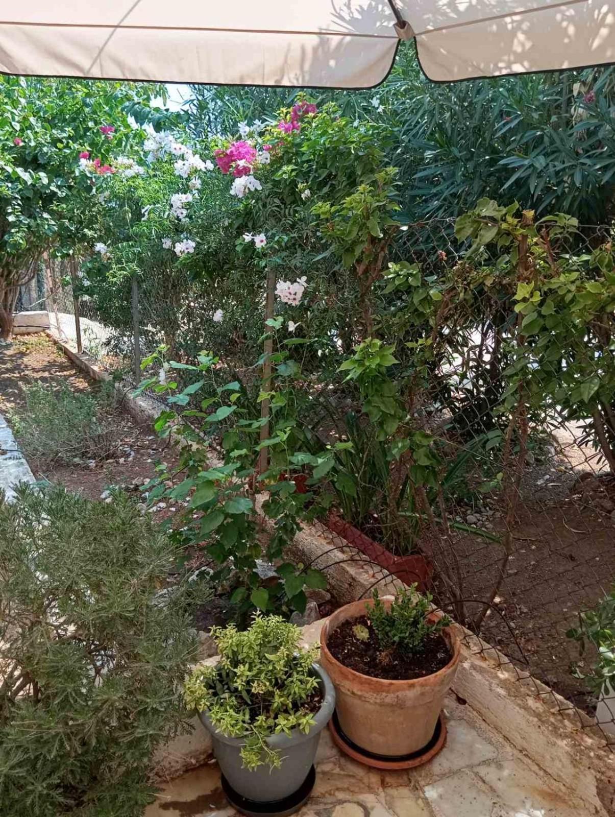 Εξοχικό Roxani Vila Ambelakia Exterior foto